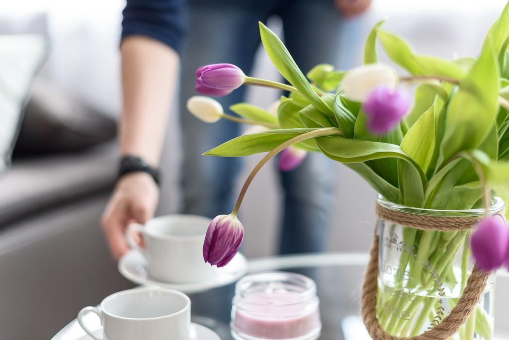 Deluxe Appartements Am Muenster Фрайбург Екстериор снимка